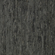 Tarkett iq Optima DARK BEIGE GREY 0875 фото 1 | FLOORDEALER